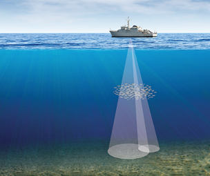 Ship above the water with white cones down in the water with fish