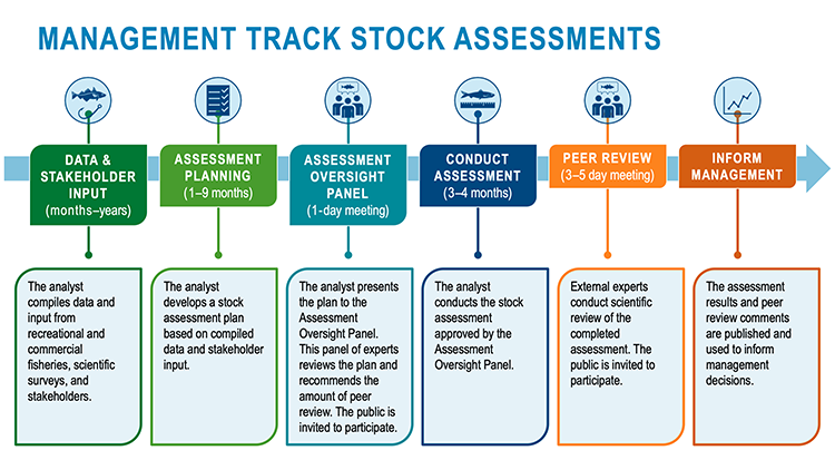 Timeline for management track assessments