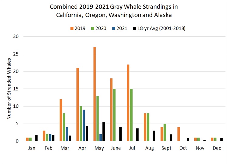 Combined Gray Whale Strandings in CA, OR, WA and AK