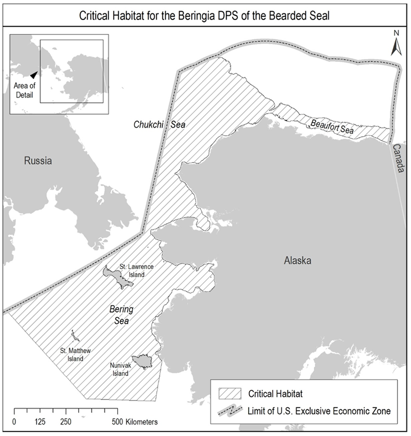 Map showing critical habitat for the Beringia DPS of bearded seals