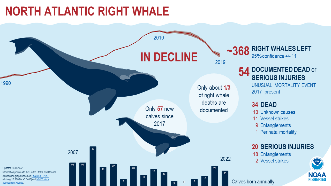 2022-8-30-NARW-infographic