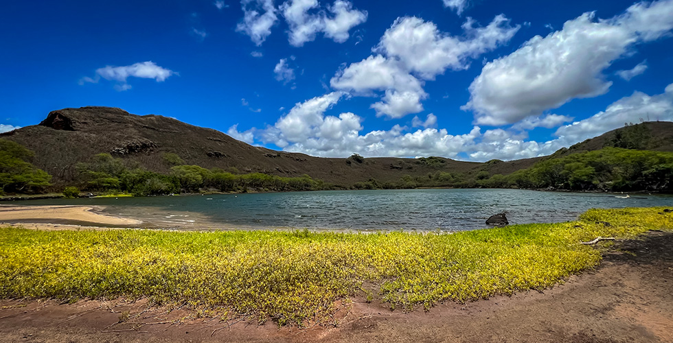 Landscape of the Hawaiian fishpond during a sunny day in Kauai.
