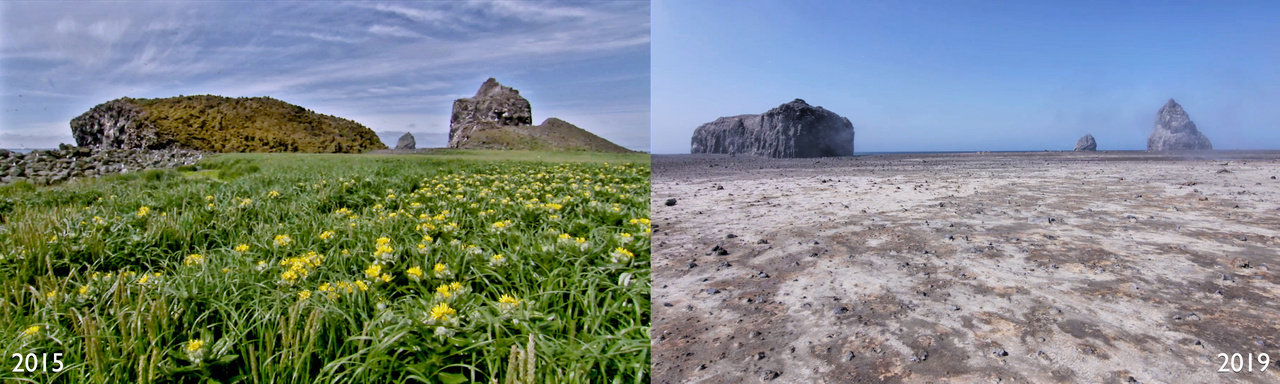 Bogoslof - before and after.jpg