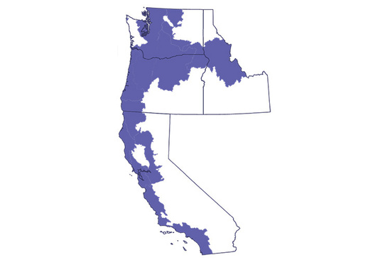 Map of Northwestern United States showing the location of Pacific salmonids.