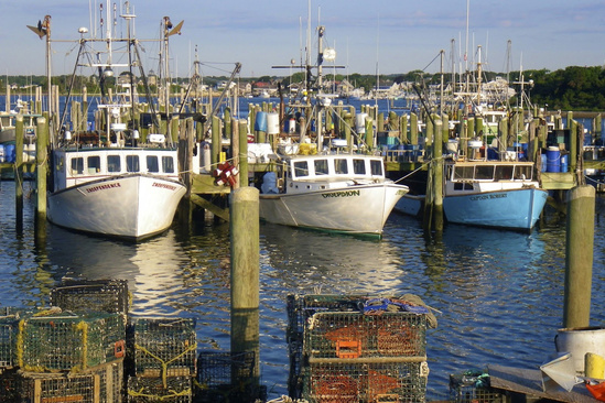 Lobster Boats