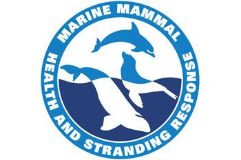 Marine Mammal Health and Stranding Repsonse Program logo