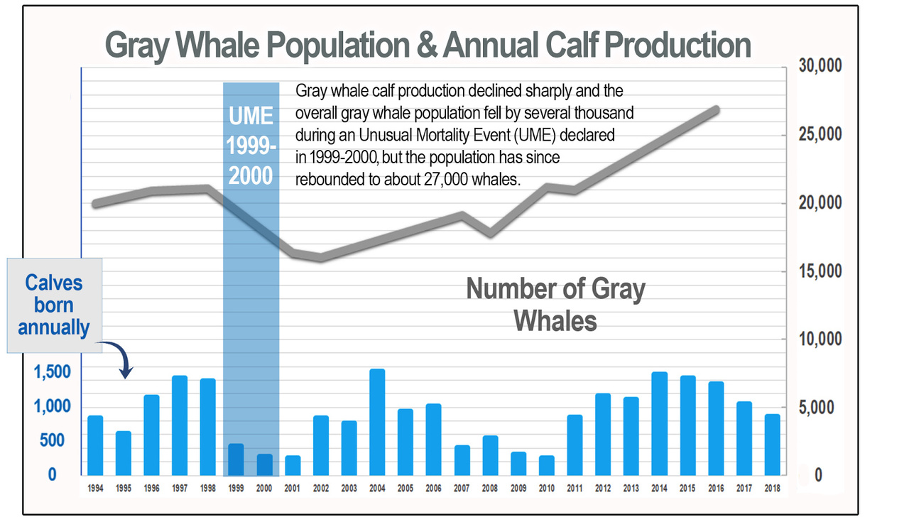 Annual calf production estimates for the eastern North Pacific gray whale population from 1994 to 2018. This graph also shows the results of our population abundance assessment.