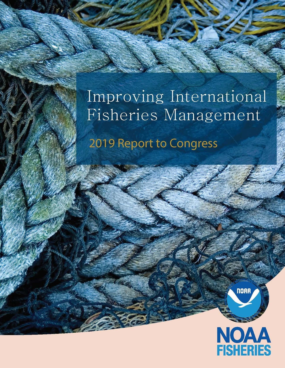 2019 Biennial IUU Report Cover final.jpg