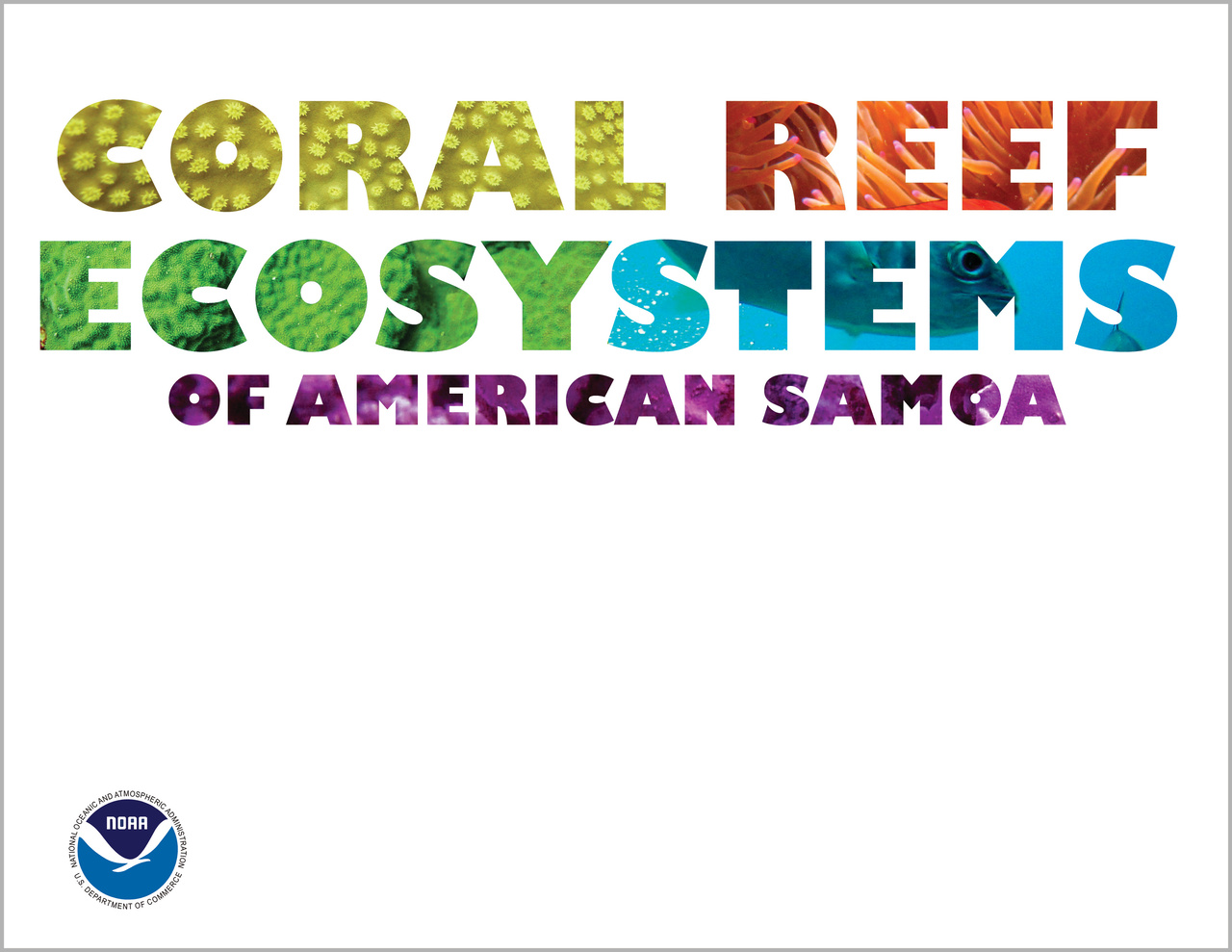 American Samoa Coral Reef Ecosystem Overview Cover