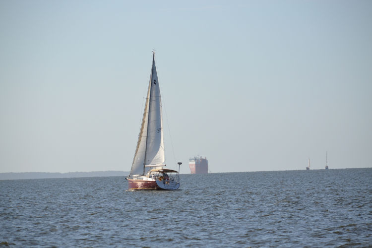 sailboat in a busy harbor by the office of coast survey