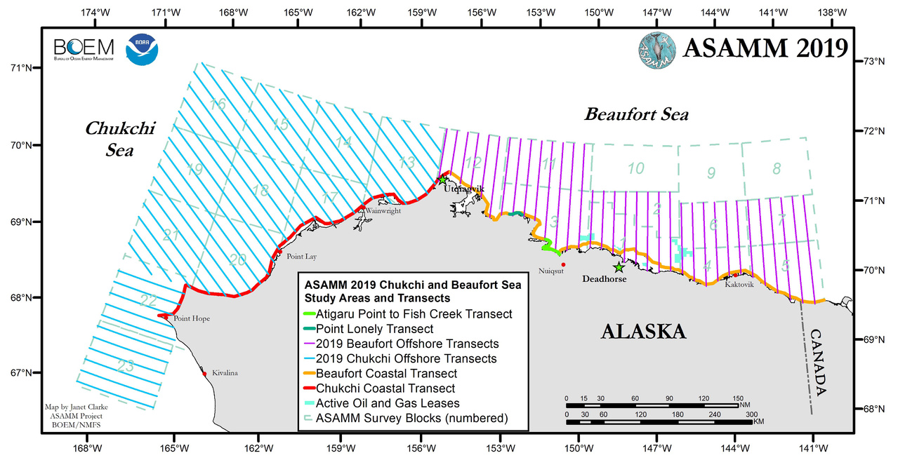 ASAMM 2019 Chukchi and Beaufort Sea Study Areas and Transects (map showing grid areas and flight transects).