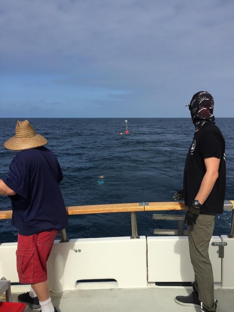 Crew members looking off the stern of the M/V Horizon at the drifting buoy they just deployed in the ocean. The high flyer and float from the drifting buoy can be seen floating in the distance.