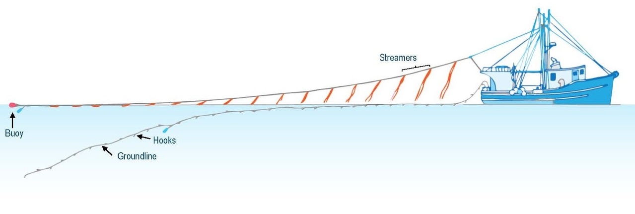 diagram-streamer-links.jpeg