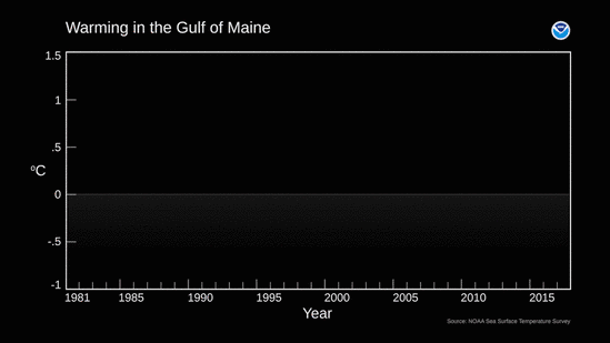 Surface ocean temperature in the Gulf of Maine has warmed faster than the global ocean.