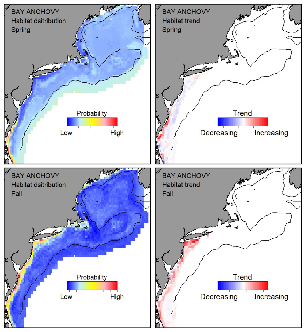 Top row: Probable habitat distribution for bay anchovy showing the highest concentration and increasing trend in the Gulf of Maine during the spring. Bottom row: Probable habitat distribution for bay anchovy showing the highest concentration and increasing trend in the Gulf of Maine during the fall.