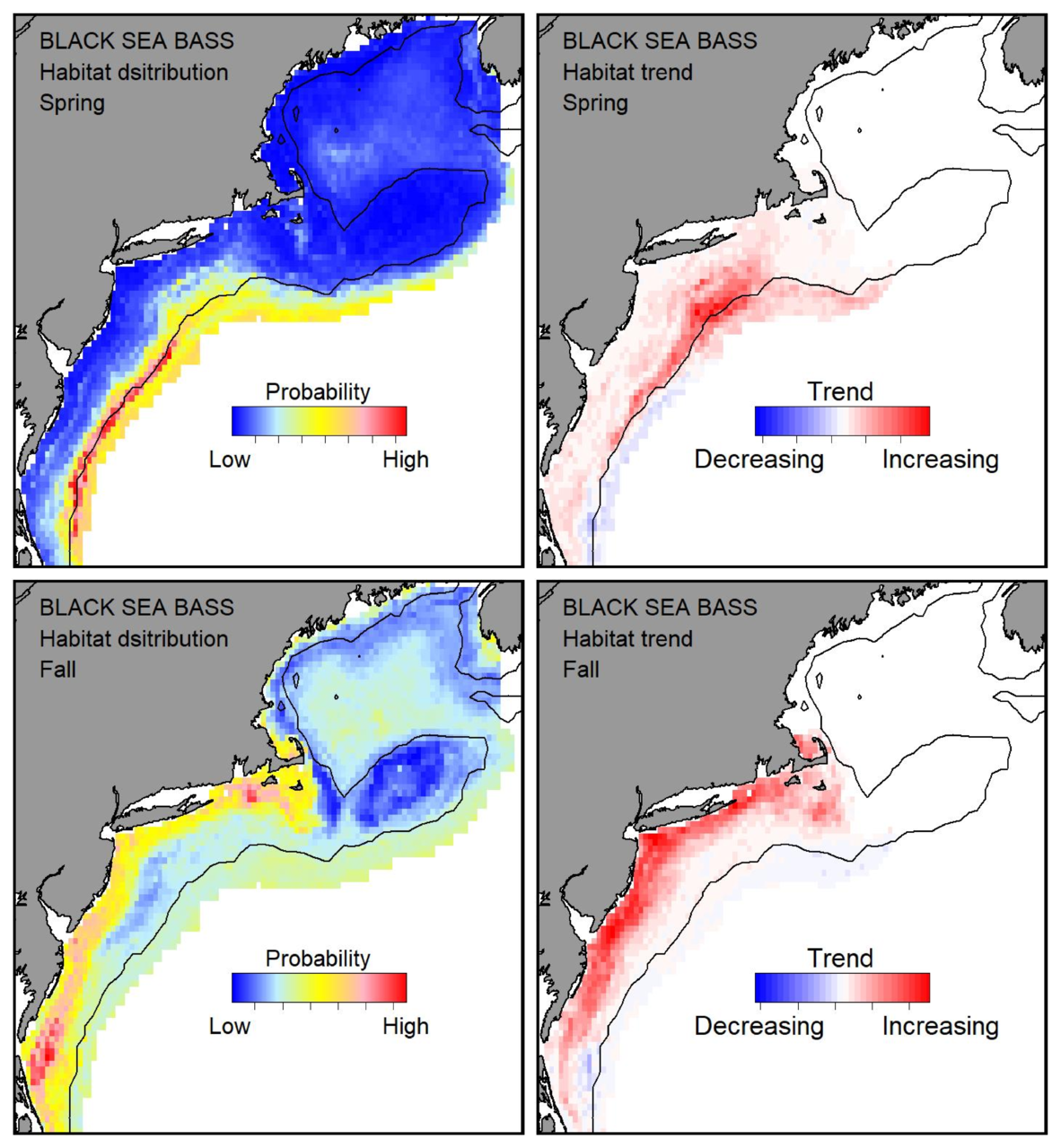 Probable habitat distribution for black sea bass showing the highest concentration and increasing trend in the Gulf of Maine during the spring. Bottom row: Probable habitat distribution for black sea bass showing the highest concentration and increasing trend in the Gulf of Maine during the fall.