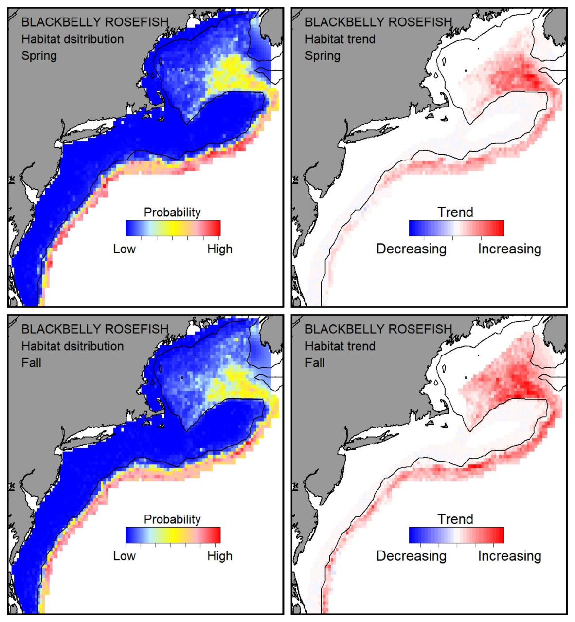 Probable habitat distribution for blackbelly rosefish showing the highest concentration and increasing trend in the Gulf of Maine during the spring. Bottom row: Probable habitat distribution for blackbelly rosefish showing the highest concentration and increasing trend in the Gulf of Maine during the fall.