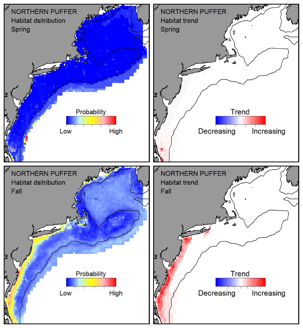 Probable habitat distribution for northern puffer showing the highest concentration and increasing trend in the Gulf of Maine during the spring. Bottom row: Probable habitat distribution for northern puffer showing the highest concentration and increasing trend in the Gulf of Maine during the fall.