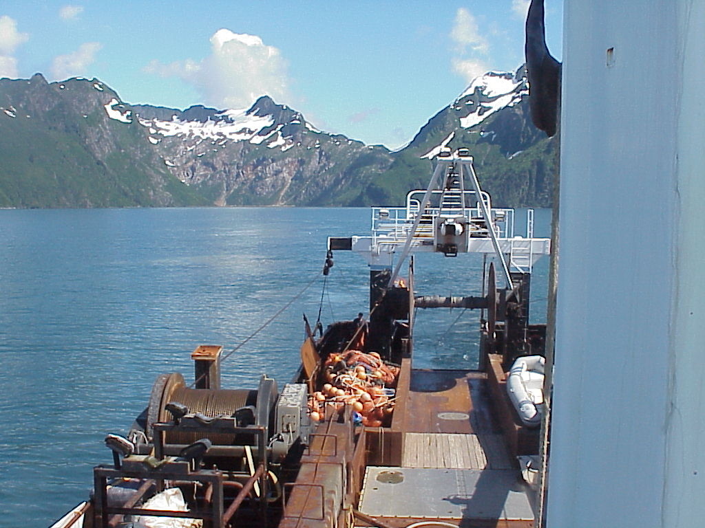 Fishing in a small fjord off Kodiak Island, taken on Leg 4 of the 2001 Gulf of Alaska groundfish survey.