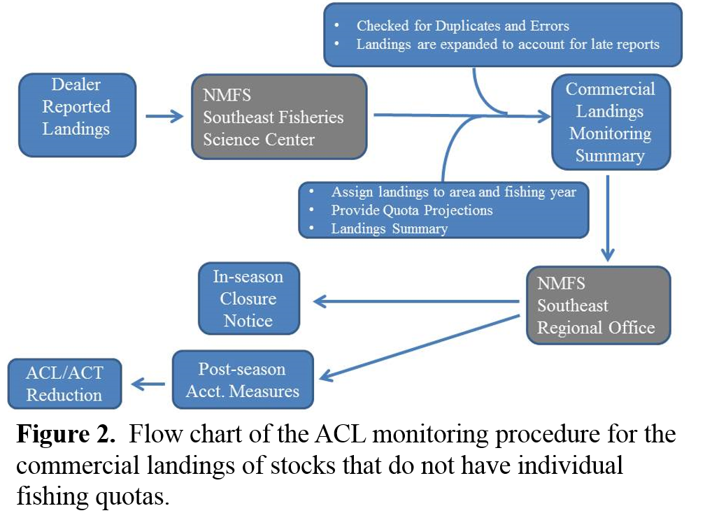 ACL Flow chart