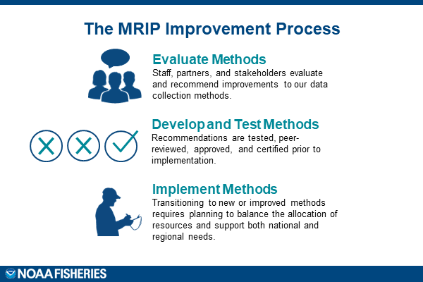 MRIP-Improvement-Process.png