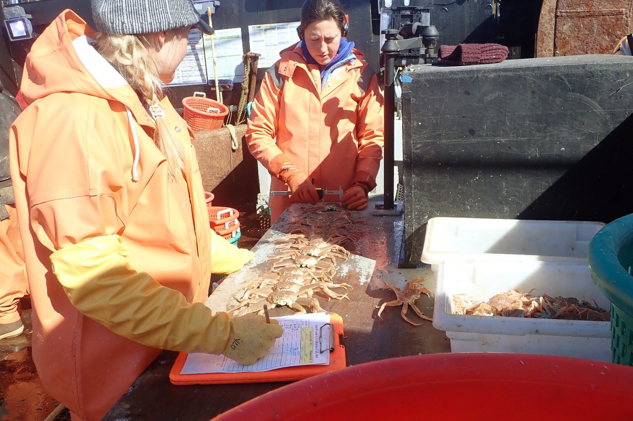 Northern_BeringSea_LoweandFedewa.jpg