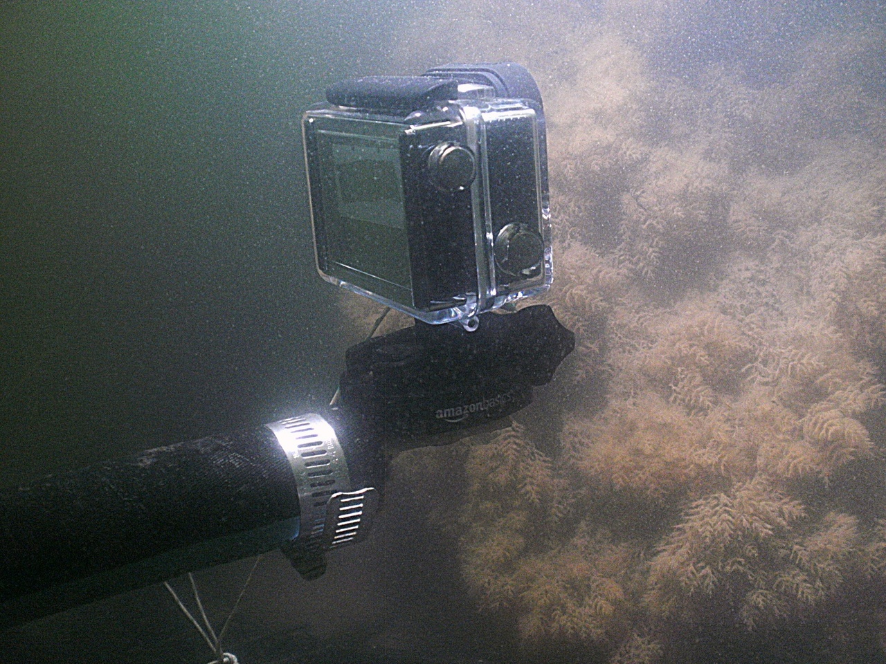 GoPro mounted on tripod near reef.