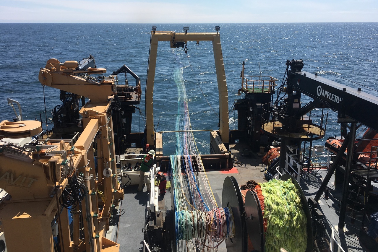 Summer_Trawling_DY1907_32_2.jpg