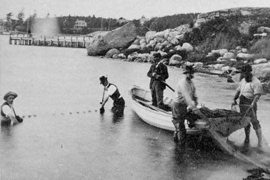 The first U.S. fish commissioner Spencer Baird and colleagues conducting research in Little Harbor, Massachusetts.
