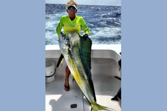 pound mahi mahi