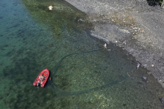 Scientists sample water for pollock with large net