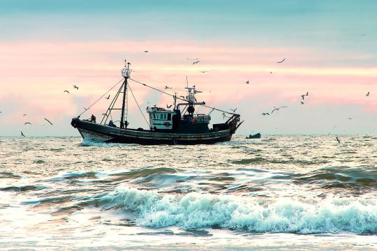 Fshing ship surrounded of seagulls in Atlantic ocean at sunset