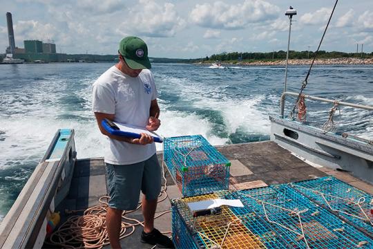 Biologist on a ship collecting data during buoyless lobster trap tests.