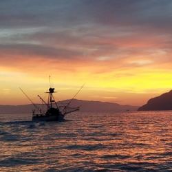 dam-migration-miss/md_EGcBvW2Y0I70.jpg Landscape photo showing silhouette of ship out to sea during sunset
