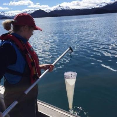 scientist holding a plankton net over the water