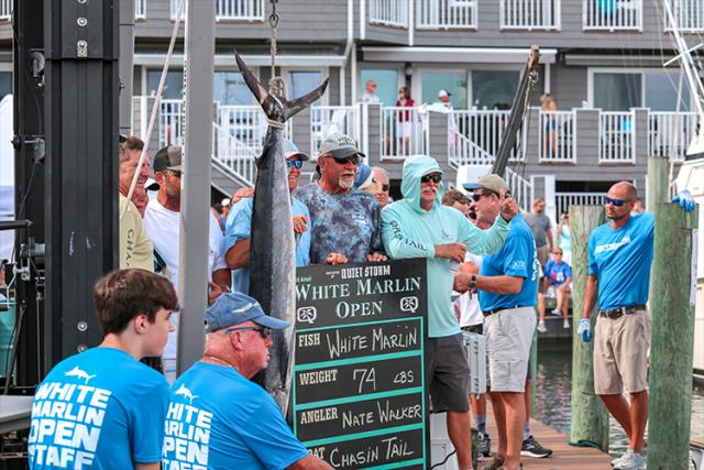 Fishing tournament participants pose next to their landed white marlin