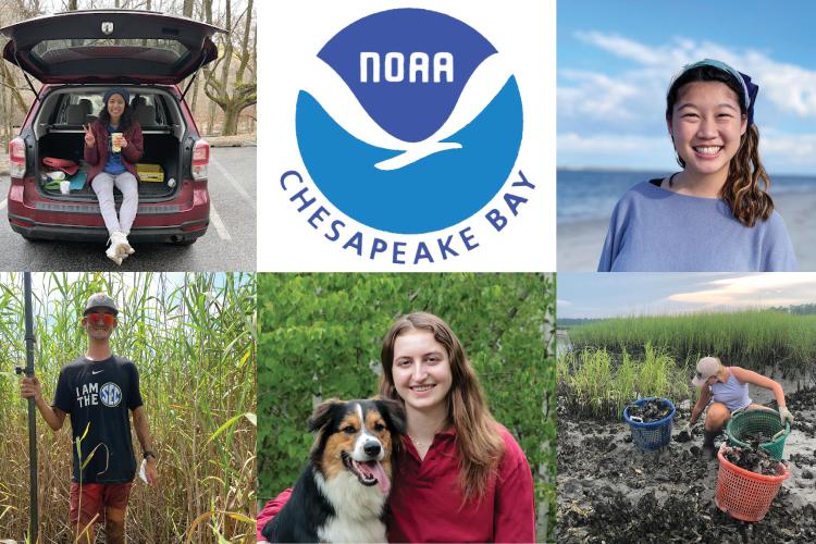 Collage including photos of five college students
