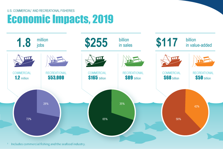 Economic impacts from Fisheries Economics of the United States 2019. 1.8 million jobs, $255 billion in sales, $117 billion in value added impacts. 1.2 million commercial jobs, 553,000 recreational jobs. $165 billion commercial sales, $89 billion recreational sales, $68 billion commercial value added, $50 billion recreational value added.