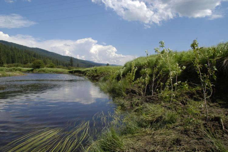 dam-migration-miss/md_0nJL6yLsROLi.jpg Landscape photo showing lots of greenery and a lake reflecting the blue sky and clouds.