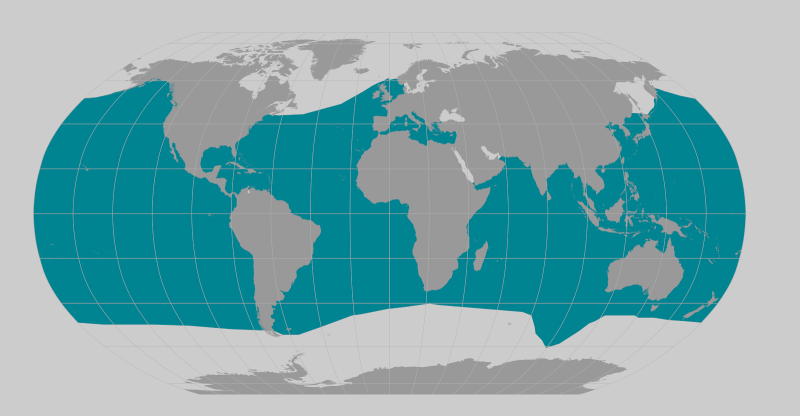 Cuvier's Beaked Whale | NOAA Fisheries