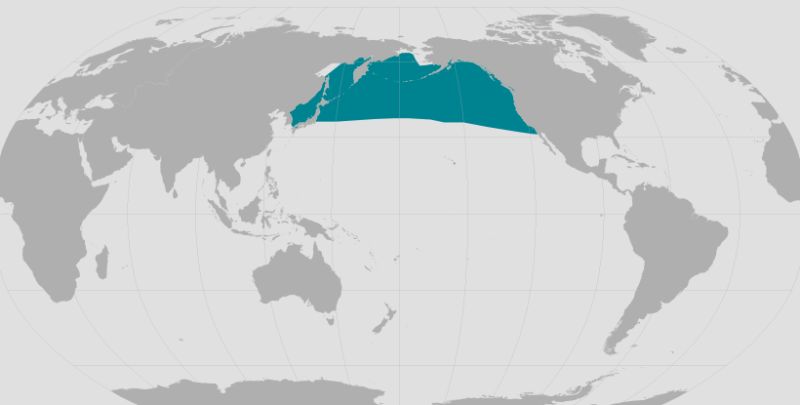 Dall's Porpoise Range.png