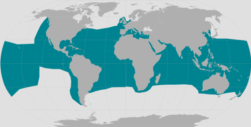 sea turtle map