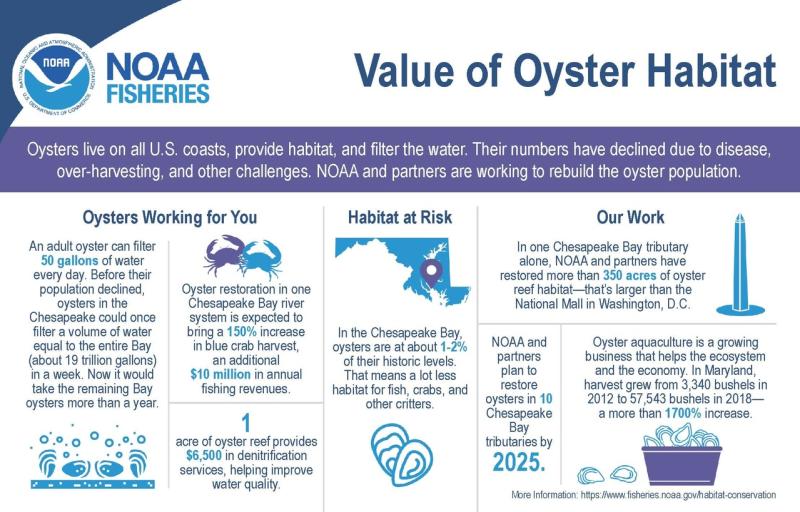 Infographic Value of Oyster Habitat.jpg