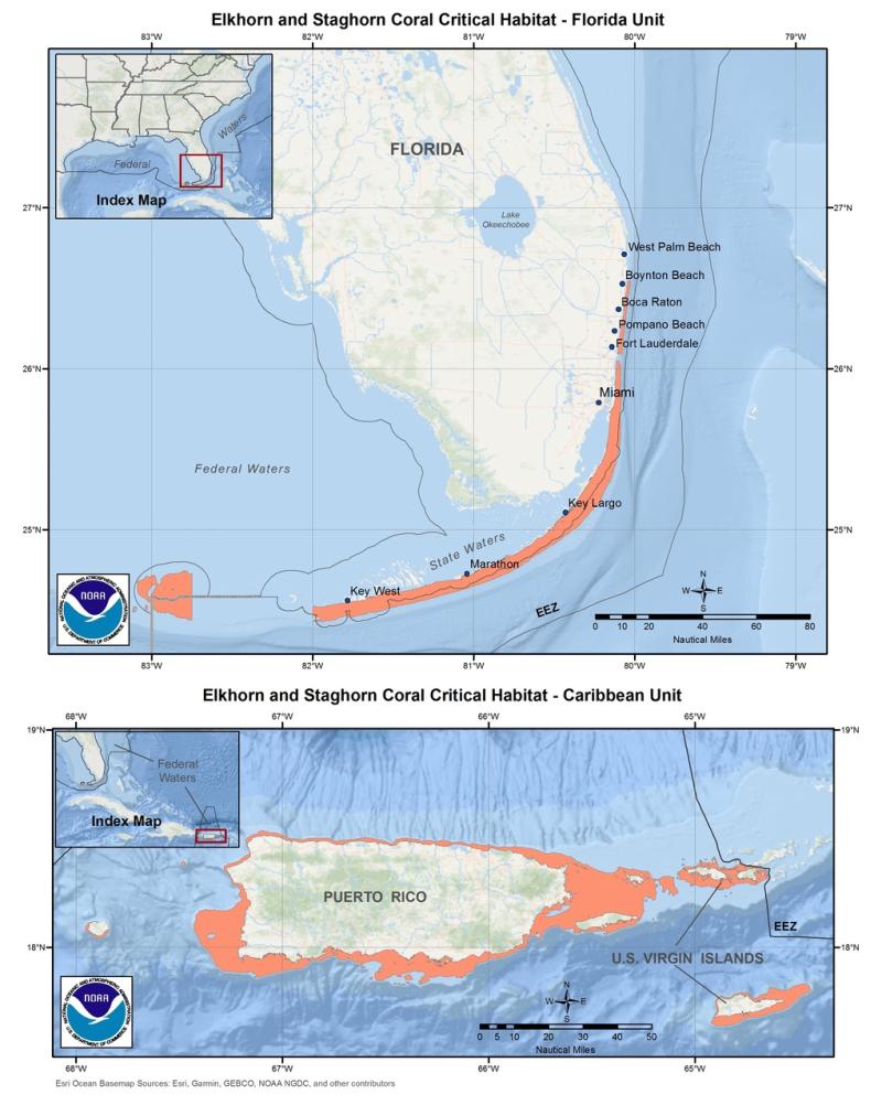 This is a map showing elkhorn and staghorn coral critical habitat in Florida and the Caribbean.