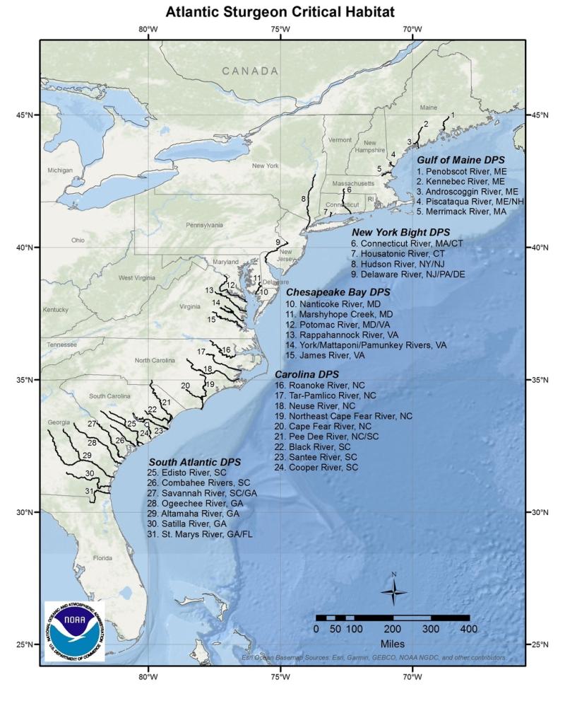 map-Atlantic-sturgeon-critical-habitat-GARFO-SERO.jpg map-Atlantic-sturgeon-critical-habitat-GARFO-SERO.jpg