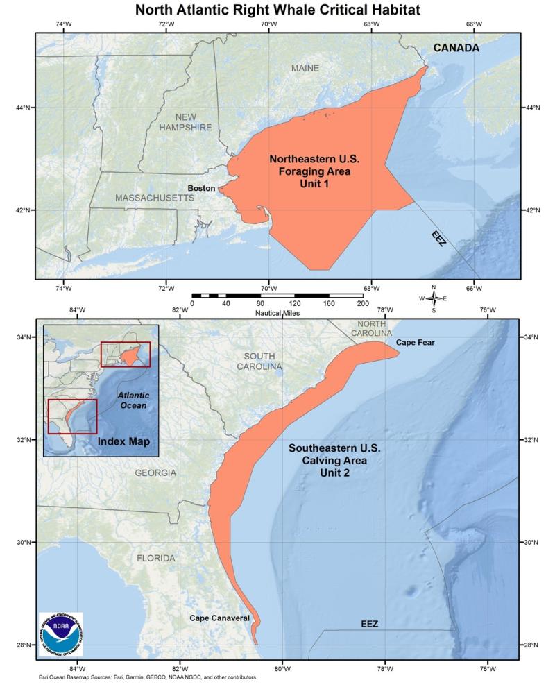 map-North-Atlantic-right-whale-critical-habitat-GARFO-SERO.jpg map-North-Atlantic-right-whale-critical-habitat-GARFO-SERO.jpg