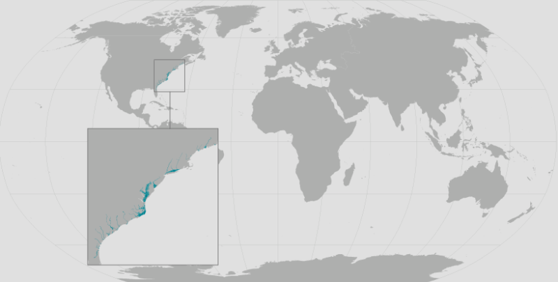 Shortnose Sturgeon Range.png